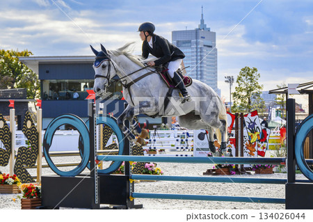 日本東京世田谷區馬術公園舉辦的馬術障礙賽馬錶演賽 134026044