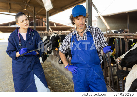 Man and Asian woman farmer with tablet talking at cowshed 134026289