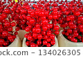 Full Frame Pattern of Red Holiday Berry Clusters in White Pots 134026305