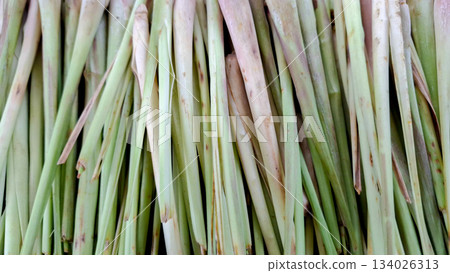 Fresh Green and White Lemongrass Stalks Culinary Background Fresh Green and White Lemongrass Stalks Culinary Background 134026313