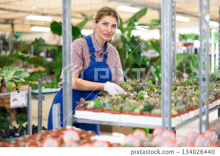 Adult woman saleswoman holding pots of succulents 134026440