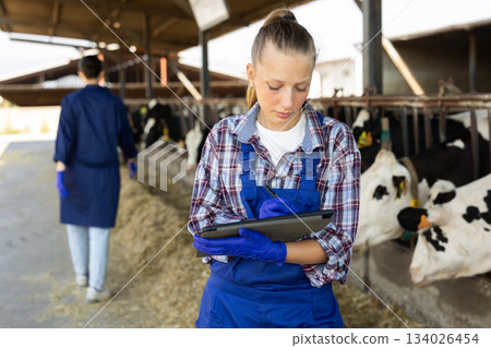 Young woman farm worker with tablet inspects cowshed Young woman farm worker with tablet inspects cowshed 134026454