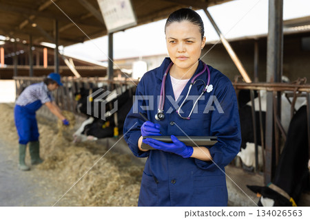 Asian woman farm worker vet with tablet inspects cowshed Asian woman farm worker vet with tablet inspects cowshed 134026563
