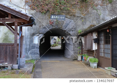 Rentaro Tunnel (Taketa City, Oita Prefecture) 134027697