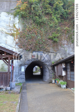 Rentaro Tunnel (Taketa City, Oita Prefecture) 134027698