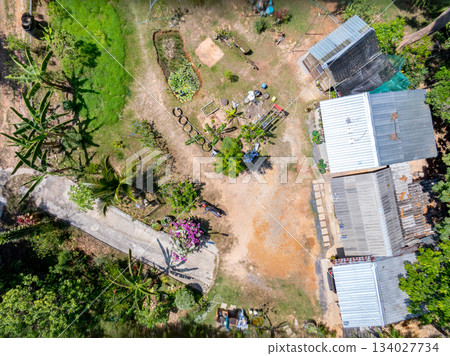 Aerial view forest trees in Phuket Thailand nature background 134027734