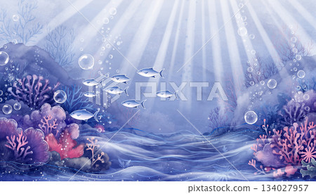 Underwater 134027957