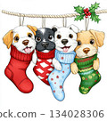 Puppies peek out of colorful Christmas sock. 134028306