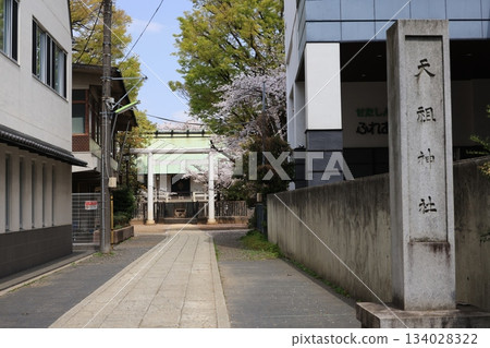 東京都世田谷區世田谷的上町天宗神社 東京都世田谷區世田谷的上町天宗神社 134028322
