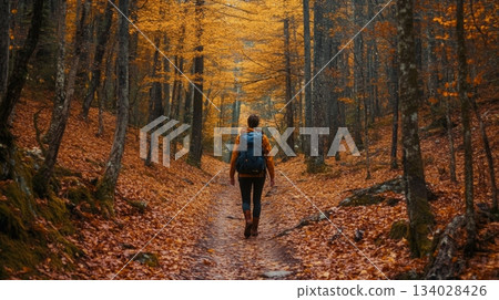 A person wearing a backpack strolls down a forest path covered in orange and brown leaves. The trees are tall and vibrant with autumn colors, creating a serene atmosphere in the woods. 134028426