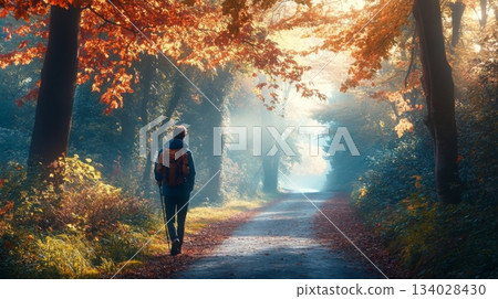 A solitary figure strolls down a tranquil path in a forest filled with colorful autumn leaves. The soft morning light filters through the trees, creating a peaceful atmosphere. 134028430