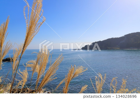 Silver grass along the coastline, blue sky, sea, mountains Silver grass along the coastline, blue sky, sea, mountains 134028696