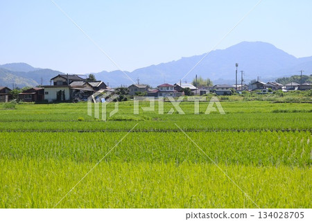 Rural scenery in the mountains Rural scenery in the mountains 134028705