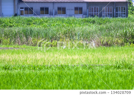 山間鄉村景色 134028709