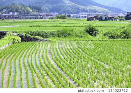 Rural scenery in the mountains 134028712