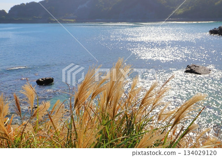 海岸線上的銀草、海、反射的光、山脈 海岸線上的銀草、海、反射的光、山脈 134029120