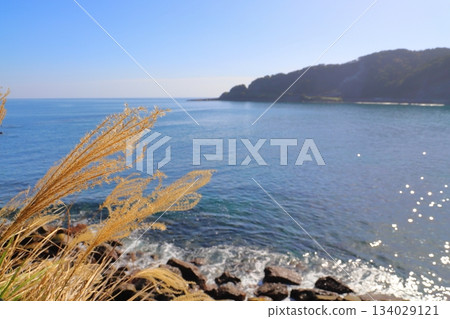 海岸線上銀草遍地，藍天碧海，波光粼粼，群山環繞。 134029121