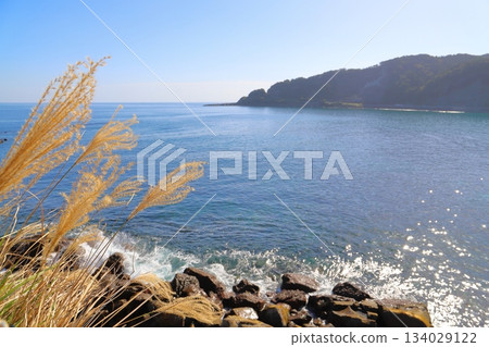 海岸線上銀草遍地,藍天碧海,波光粼粼,群山環繞。 海岸線上銀草遍地,藍天碧海,波光粼粼,群山環繞。 134029122