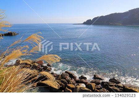 Silver grass along the coastline, blue sky, sea, mountains Silver grass along the coastline, blue sky, sea, mountains 134029123