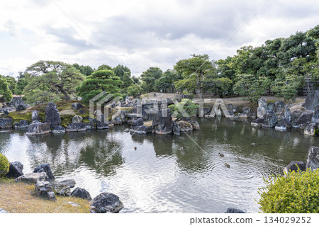 京都府京都市中京區二條城二之丸庭園的深秋景色 134029252
