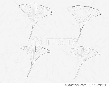 Ginkgo leaf line drawing: Japanese-style illustration with washi paper texture and gray background Ginkgo leaf line drawing: Japanese-style illustration with washi paper texture and gray background 134029491
