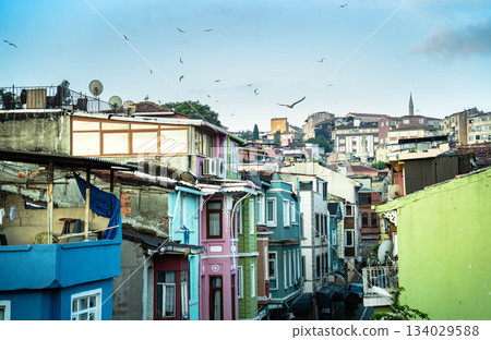 伊斯坦布爾，海鳥飛翔的地方 134029588