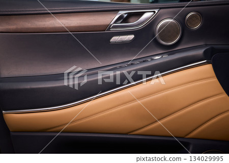 A car door with trim showcasing automotive design details 134029995