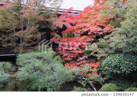 Autumn leaves at Eikando Zenrinji Temple in Kyoto 134030147