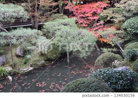 Autumn leaves at Eikando Zenrinji Temple in Kyoto 134030156