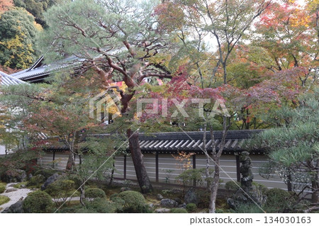 Autumn leaves at Eikando Zenrinji Temple in Kyoto 134030163