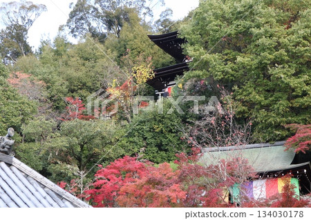 Autumn leaves at Eikando Zenrinji Temple in Kyoto Autumn leaves at Eikando Zenrinji Temple in Kyoto 134030178