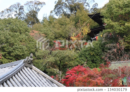 Autumn leaves at Eikando Zenrinji Temple in Kyoto Autumn leaves at Eikando Zenrinji Temple in Kyoto 134030179