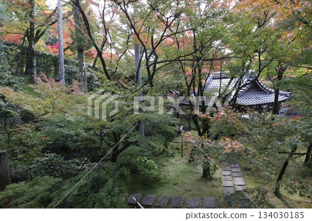 Autumn leaves at Eikando Zenrinji Temple in Kyoto 134030185