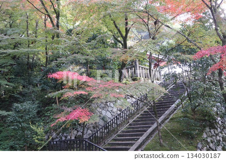 Autumn leaves at Eikando Zenrinji Temple in Kyoto 134030187