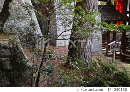Autumn leaves at Eikando Zenrinji Temple in Kyoto 134030188