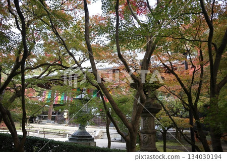Autumn leaves at Eikando Zenrinji Temple in Kyoto 134030194