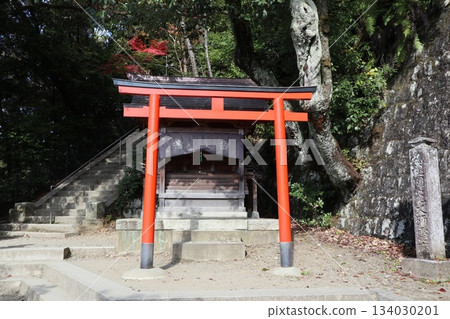 Autumn leaves at Eikando Zenrinji Temple in Kyoto 134030201