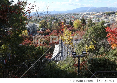 京都永觀堂禪林寺的秋葉 京都永觀堂禪林寺的秋葉 134030204