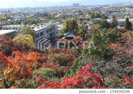 Autumn leaves at Eikando Zenrinji Temple in Kyoto 134030206