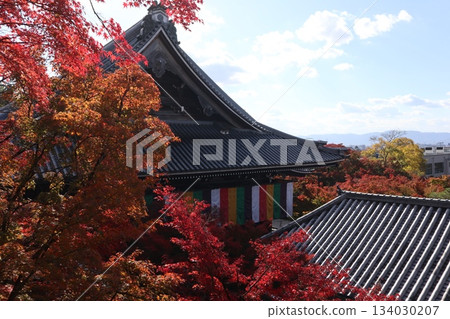 Autumn leaves at Eikando Zenrinji Temple in Kyoto Autumn leaves at Eikando Zenrinji Temple in Kyoto 134030207