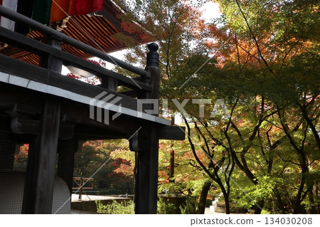 Autumn leaves at Eikando Zenrinji Temple in Kyoto 134030208