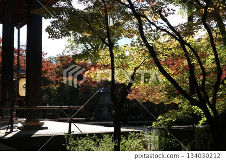 Autumn leaves at Eikando Zenrinji Temple in Kyoto 134030212
