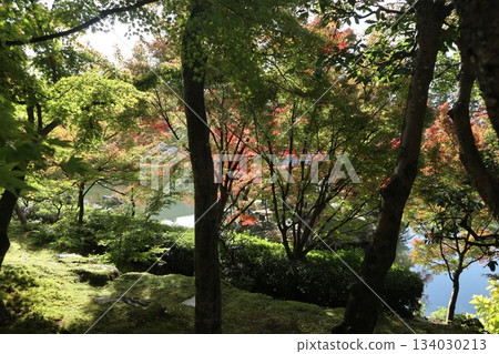 Autumn leaves at Eikando Zenrinji Temple in Kyoto 134030213