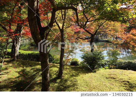 Autumn leaves at Eikando Zenrinji Temple in Kyoto 134030215