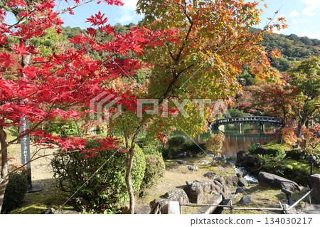 京都永觀堂禪林寺的秋葉 134030217