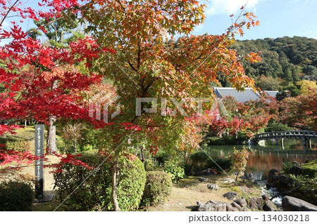 Autumn leaves at Eikando Zenrinji Temple in Kyoto 134030218