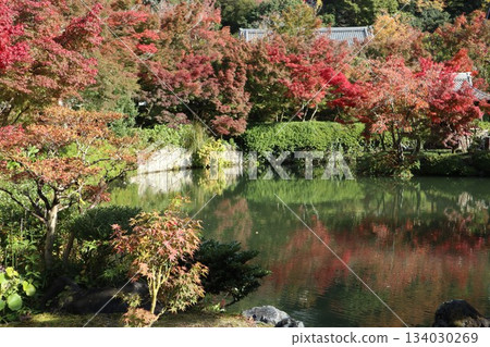 Autumn leaves at Eikando Zenrinji Temple in Kyoto 134030269