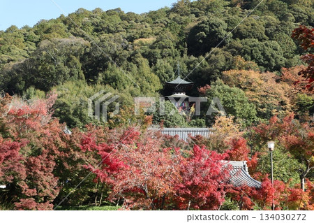 Autumn leaves at Eikando Zenrinji Temple in Kyoto 134030272
