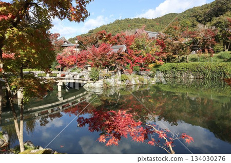 Autumn leaves at Eikando Zenrinji Temple in Kyoto Autumn leaves at Eikando Zenrinji Temple in Kyoto 134030276