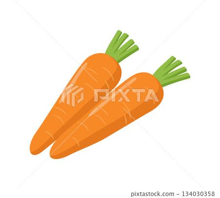 Carrot, flat illustration 134030358